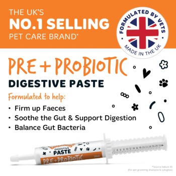 Pre+Probiotic Verdauungspaste-Spritze (30 ml) für Haustiere — Großbritanniens Nr. 1 in der Tierpflege; von Tierärzten entwickelt; verfestigt den Kot