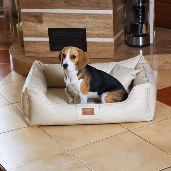 Beagle sitzt in einem beigen Haustierbett mit "tierlando.de"-Etikett auf gefliestem Boden im Innenraum.