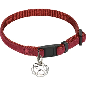 Red pet collar with a black buckle and a silver charm, displayed against a white background.