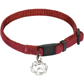 Rotes Haustierhalsband mit einer schwarzen Schnalle und einem silbernen Anhänger, vor einem weißen Hintergrund präsentiert.