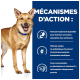 Un chien marron heureux avec un collier bleu se tient à côté d'un texte sur une formule hautement digestible pour l'absorption des nutriments et la santé intestinale.