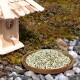 Ein hölzernes Vogelhaus neben einem Teller mit Samen auf einer steinigen Oberfläche, mit einem kleinen braunen Vogel in der Nähe, vor einem moosigen Hintergrund.