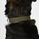 Biothane Halsband Khaki neon orange L