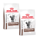 Zwei Tüten Royal Canin Veterinary Gastrointestinal Katzenfutter, mit einer Katzenillustration und dem Markenlogo, das deutlich angezeigt wird.