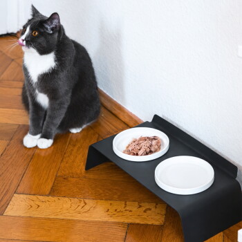Weiße keramische Futterschale für Haustiere mit flachem Design und erhöhten Rändern, geeignet für Katzen oder kleine Hunde.