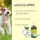 Ein glücklicher weiß-brauner Hund steht im Freien neben einer Flasche "InsektoVet Bio-Kokos-Schwarzkümmel Öl", die seine natürlichen Inhaltsstoffe betont.