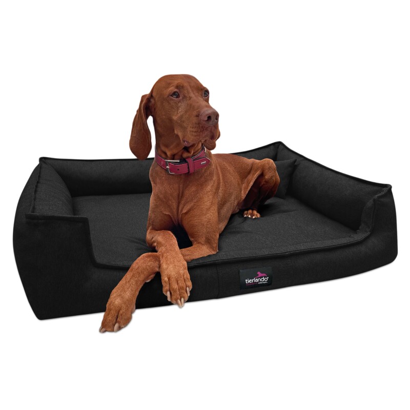 Tierlando ® Orthopädisches Hundebett GUSTAV SCANDI CHIC Große Hunde XL Hundesofa