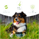 Schwarzes Glas des Hundesupplements "Magen & Darm Leckerli" auf einem Holzstumpf, mit natürlichen Zutaten wie Flohsamen und Pflanzenkohle.