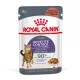 Royal Canin Appetite Control kattenvoer zakje, met een illustratie van een tabby kat, benadrukt 'Helpt bedelen te beheersen' en 'Bewezen resultaten.'