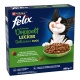 Purina Felix Katzenfutterpackung 'Doppelt Lecker / Délicieux Duos' mit schwarz-weißem Kater, der sich die Lippen leckt, und einer Schale Trockenfutter, 800 g