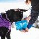 Zusammenklappbarer Futter- und Wassernapf für Hunde
