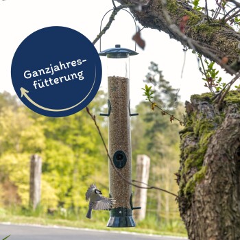 Ein Vogelhaus, das von einem Baumzweig hängt, gefüllt mit Samen, mit einem kleinen Vogel in der Nähe im Flug. Textüberlagerung lautet 'Ganzjahresfütterung.'