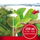 Aquarium mit grünen Algen auf der linken Seite, gesunden Pflanzen auf der rechten Seite und zwei bunten Fischen. Text: "250 ml für 500 - 1000 L Aquarienwasser."