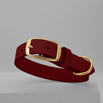 Ein stilvolles rotes Haustierhalsband mit einer goldenen Schnalle, auf einem hellgrauen Hintergrund präsentiert.