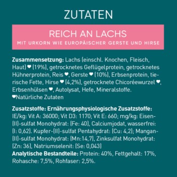 Haustierfutterverpackung mit einem türkisfarbenen Hintergrund und pinken Akzenten, die Zutaten wie Lachs, Huhn, Getreide und Nährwertinformationen anzeigt.