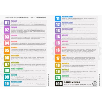 Infografik "Der richtige Umgang mit der Schleppleine" bietet 20 Tipps für die sichere und effektive Verwendung von langen Leinen mit Hunden.
