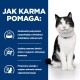 Czarny i biały kot siedzi na niebieskim tle z tekstem opisującym, jak jedzenie pomaga poprawić odżywianie, jakość stolca i poziom energii.