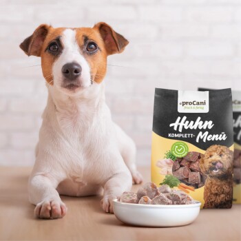 Die Vorderpfoten eines Hundes ruhen auf einer Holzoberfläche neben einer Schüssel mit Futter und einem Beutel mit der Aufschrift "proCani Huhn Komplett-Menü" mit Fleischbildern.