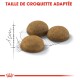 Trois croquettes pour animaux de compagnie rondes et brunes sont affichées sur un croquis avec des lignes de mesure, étiquetées "TAILLE DE CROQUETTE ADAPTÉE" en haut.