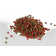 Ein Haufen kleiner, runder Haustierfutterpellets in rot und grün, verstreut auf einem weißen Hintergrund.
