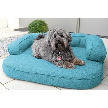 Ein flauschiger grauer Hund ruht auf einem helltürkisen Haustierbett mit einem erhöhten Rücken für Komfort, vor einem modernen Außenhintergrund.