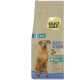 Sac de nourriture pour chien Select Gold Maxi Senior Sensitive pour chiens de plus de 25 kg, 6+ ans, au saumon et pomme de terre, formule sans céréales.
