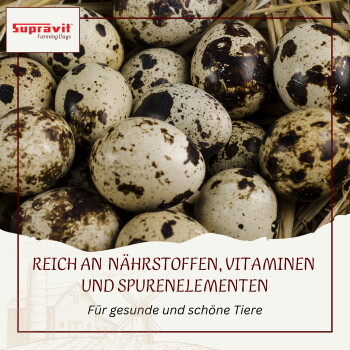 Tüte Supravit Geflügelfutter mit Nahaufnahme von Samen, Text „Sichere & kontrollierte Herstellung aus Deutschland.“