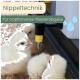 Drei gelbe Küken unter einer Nippeltränke mit Tropfen-Grafik; Text 'Nippeltechnik' und 'für tropfenweise Wasserabgabe'.