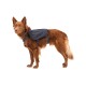Front Range™ Hundetagesrucksack grau S