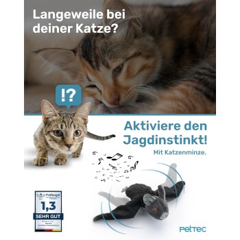 Bild eines verspielten Katzenspielzeugs in Form einer Fledermaus, das die Interaktion für Katzen mit Katzenminze fördert. Text lautet "Aktiviere den Jagdinstinkt! Mit Katzenminze."