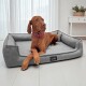 Brauner Hund mit pinkem Halsband liegt auf einem grauen Tierlando-Haustierbett in einem hellen Raum mit weißen Vorhängen.