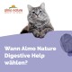 Eine flauschige graue Katze mit blauen Augen ruht auf einer lila Oberfläche, mit "Wann Almo Nature Digestive Help wählen?" darüber und dem Logo in der Ecke.