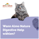 Eine flauschige graue Katze mit blauen Augen ruht auf einer lila Oberfläche, mit "Wann Almo Nature Digestive Help wählen?" darüber und dem Logo in der Ecke.