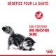 Digestive Care 10 kg
