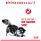 Un chat noir et blanc est vu en train de renifler le sol, avec du texte qui dit "BÉNÉFICE POUR LA SANTÉ" et "AIDE À SOUTENIR UNE DIGESTION SAINE."