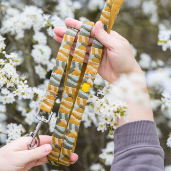 Hände halten eine grün- und senfgelb gemusterte Hundeleine mit Metallverschluss und kleinem gelben Anhänger, vor einem Hintergrund weißer Frühlingsblüten.