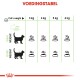 Voedingsschema voor katten met aanbevolen dagelijkse hoeveelheden voedsel op basis van gewicht (3-6 kg) met ideale en overgewicht indicatoren.