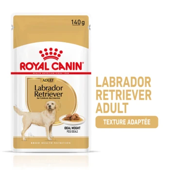 Emballage de nourriture pour chiens Royal Canin Labrador Retriever Adult, avec une illustration de labrador jaune, taille 140g, et un texte mettant en avant "Poids Idéal."