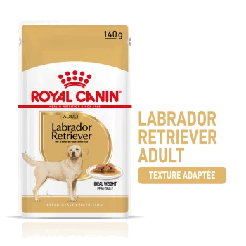 Emballage de nourriture pour chiens Royal Canin Labrador Retriever Adult, avec une illustration de labrador jaune, taille 140g, et un texte mettant en avant "Poids Idéal."