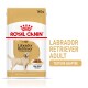 Emballage de nourriture pour chiens Royal Canin Labrador Retriever Adult, avec une illustration de labrador jaune, taille 140g, et un texte mettant en avant "Poids Idéal."