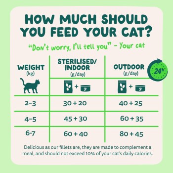 Infographic: "How much should you feed your cat?" includes "Don't worry, I'll tell you" and chart: weight (kg) 2–3 30+20/40+25; 4–5 45+30/60+35; 6–7 60+40/80+45