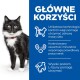 Czarny i biały kot stoi obok niebieskiego panelu z informacjami o korzyściach: kontrola wagi, minerały dla zdrowia nerek i wysoka L-lizyna.