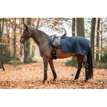Ein braunes Pferd steht in einem Wald, der mit Herbstblättern bedeckt ist, und trägt eine marineblaue, gesteppten Satteldecke und schwarze Beinschoner.