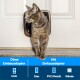 Eine graue getigerte Katze tritt durch eine weiße Tür mit deutschen Beschriftungen für Installationsoptionen und Symbolen für verschiedene Materialien.