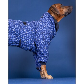 Ein brauner Hund, der einen blauen gemusterten Wintermantel trägt, steht vor einem einfarbigen blauen Hintergrund und zeigt das Design und die Passform des Mantels.