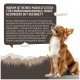 Dosen mit hypoallergenem Muskelfleisch für empfindliche Hunde, beschriftet "Pferd Pur," "Ente Pur," und "Hirsch Pur," mit Einzelprotein.
