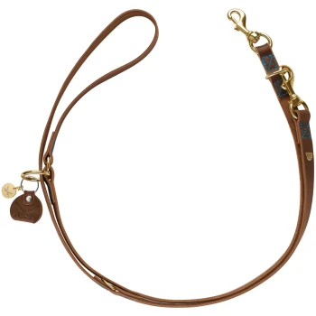 Braune Leder-Hundeleine mit goldenen Beschlägen und blauer Naht, mit einem Schlaufengriff und einem kleinen Anhänger.