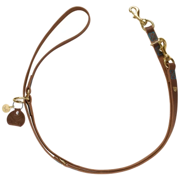Braune Leder-Hundeleine mit goldenen Beschlägen und blauer Naht, mit einem Schlaufengriff und einem kleinen Anhänger.