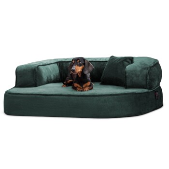 Ein schwarzer und brauner Dackel liegt auf einem plüschigen grünen Hundebett mit einer unterstützenden Rückenlehne und einem kleinen Kissen.