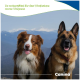 Zwei Hunde – ein braun-weißes, flauschiges und ein Deutscher Schäferhund – in den Bergen; Text: „So unterstützt ihr das Wachstum eures Welpen, Canina®“.